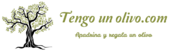 Tengo un olivo
